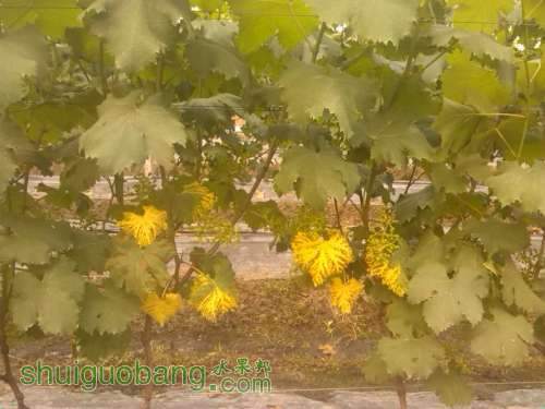 IMG_20140512_175914.jpg