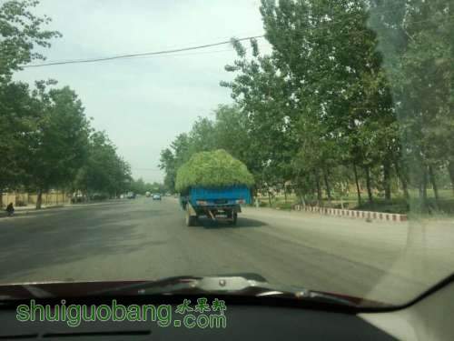 QQͼƬ20140513131332.jpg