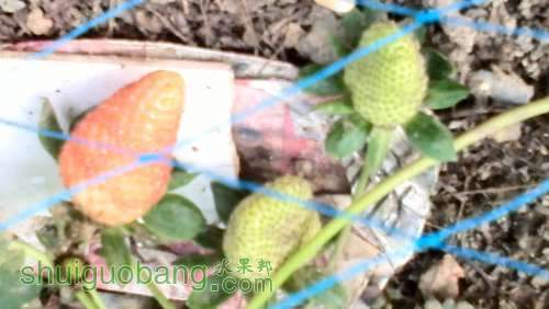 IMG_20140427_172101738.jpg