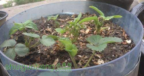 ѹͼ_2014-05-14_12-25-35.jpg