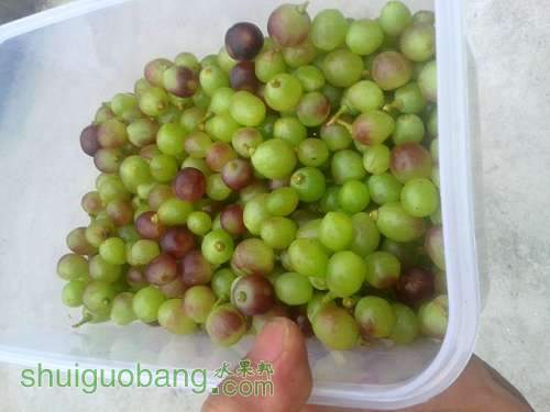 20140514_173624.jpg