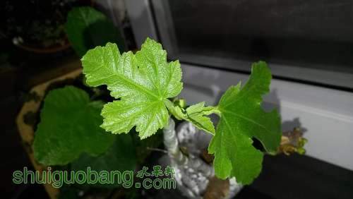 20140514_171135.jpg