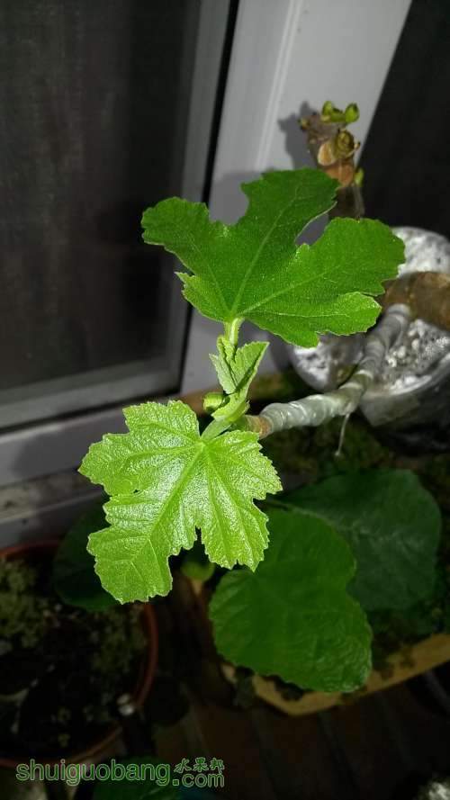 20140514_171143.jpg