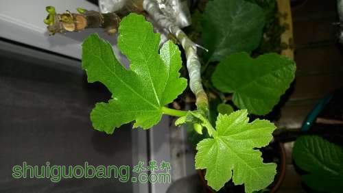 20140514_171325.jpg