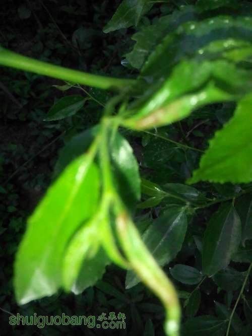 IMG_20140515_053857.jpg