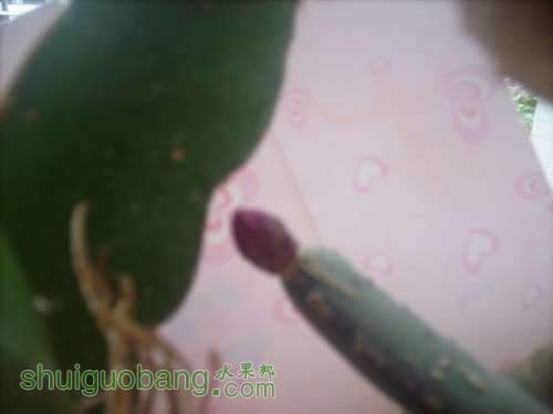 DSCI0597.JPG