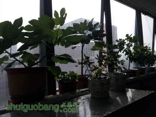20140515_155539.jpg