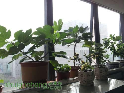 20140515_155635.jpg