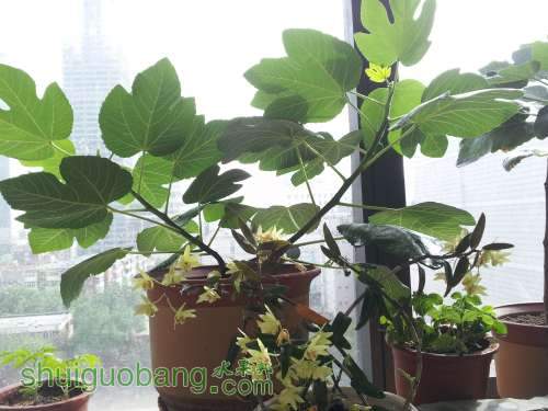 20140515_155718.jpg