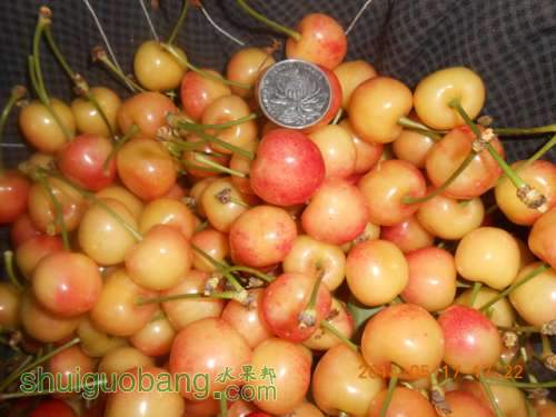 DSCN0590.jpg