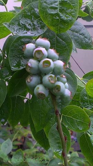 IMAG0441.jpg