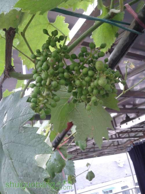 20140518_111417.jpg