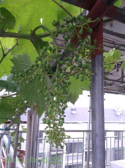 20140518_111428.jpg