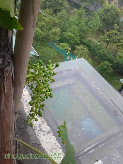 20140518_111503.jpg