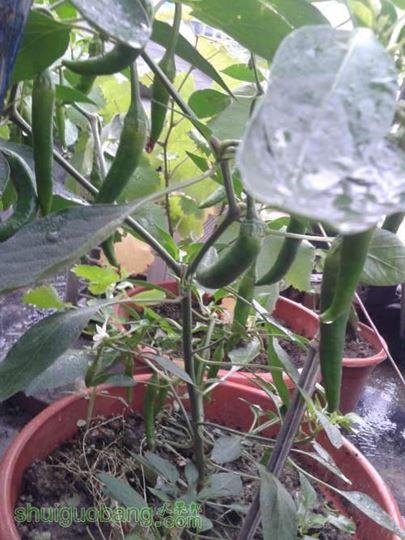 20140518_111512.jpg