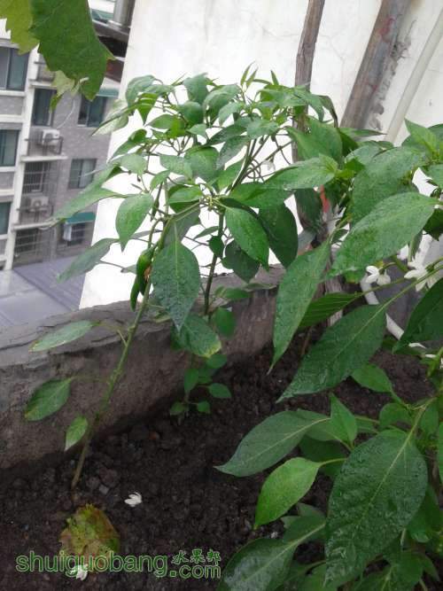 20140518_111538.jpg