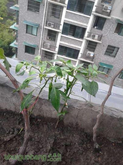 20140518_111550.jpg