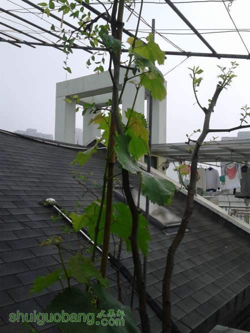 20140518_111559.jpg
