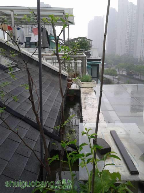 20140518_111606.jpg