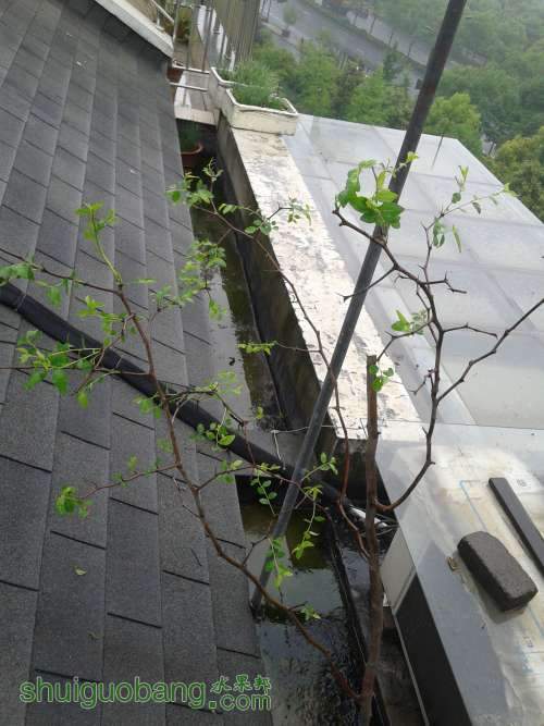20140518_111623.jpg