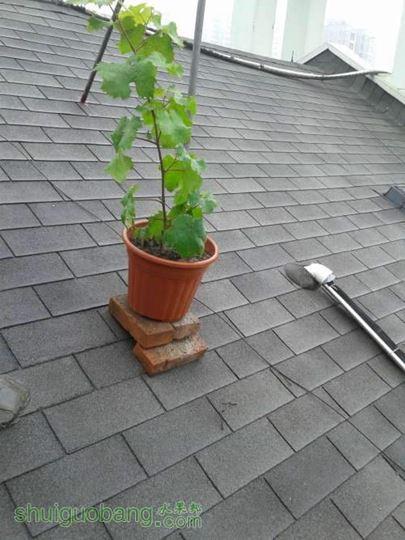 20140518_111626.jpg