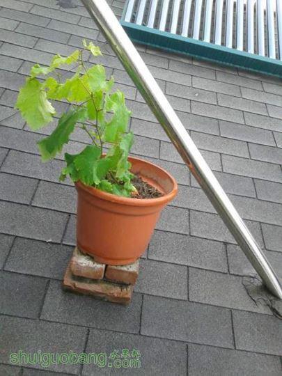 20140518_111629.jpg