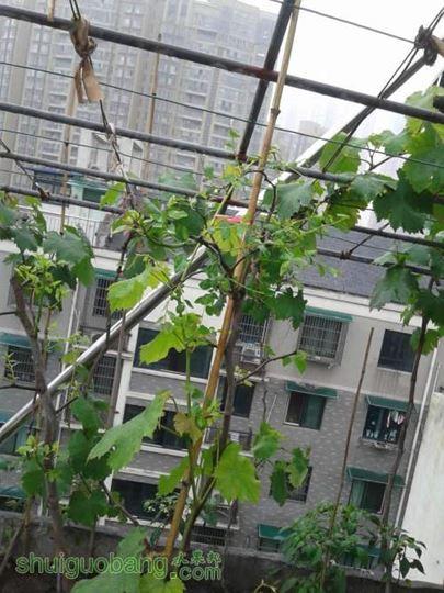 20140518_111654.jpg