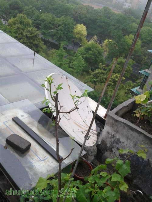 20140518_111656.jpg