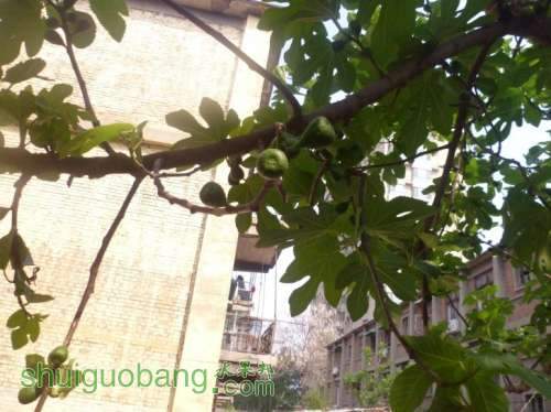 QQͼƬ20140518175413.jpg