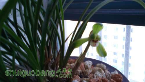 IMG_20140322_165558.jpg