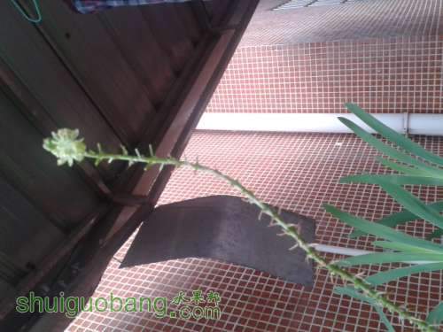 20140519_173209.jpg