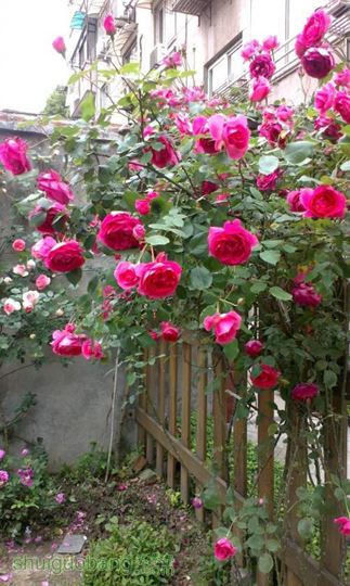 14IMAG0287.jpg