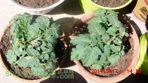 nEO_IMG_CIMG2353.jpg