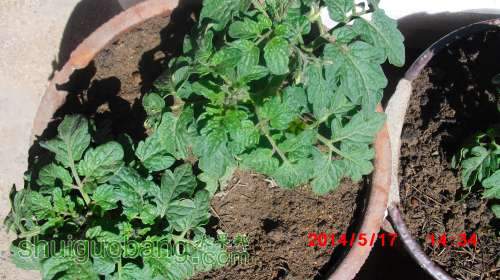 nEO_IMG_CIMG2357.jpg