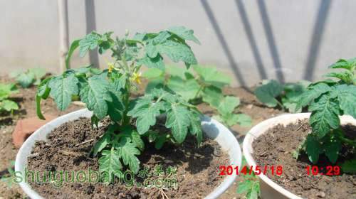 nEO_IMG_CIMG2402.jpg