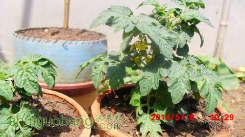 nEO_IMG_CIMG2403.jpg