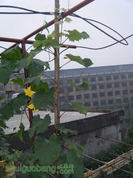DSCF2363.JPG