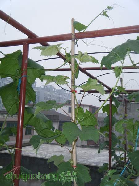 DSCF2370.JPG