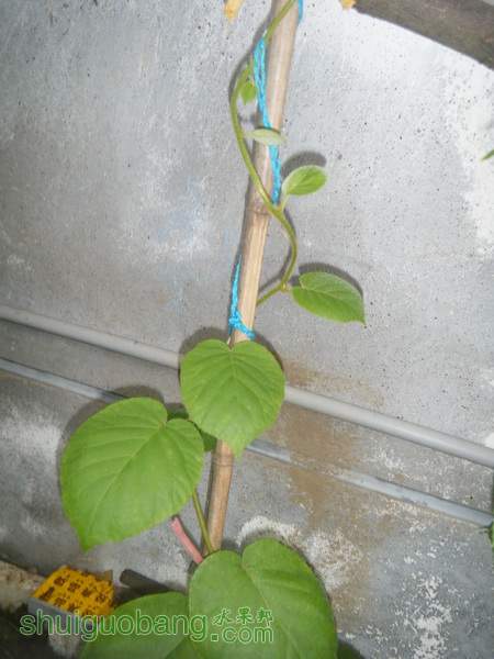 DSCF2405.JPG