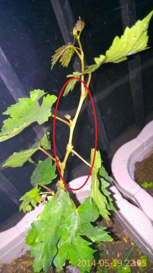 QQͼƬ20140519220601.jpg