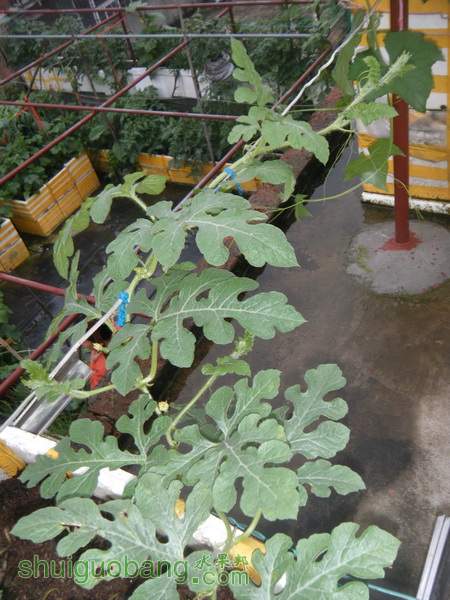 DSCF2360.JPG