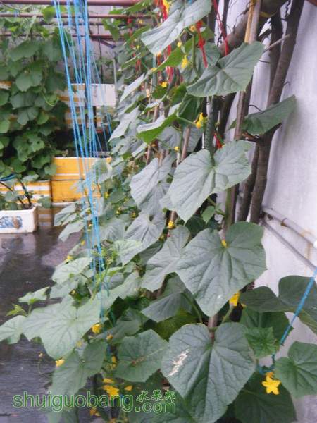 DSCF2288.JPG