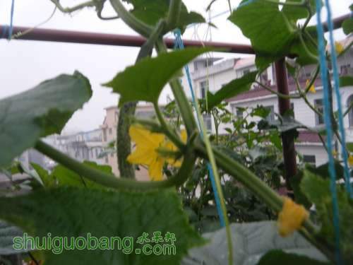 DSCF2294.JPG