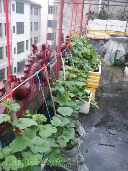 DSCF2292.JPG