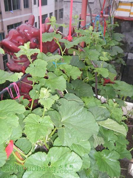DSCF2408.JPG