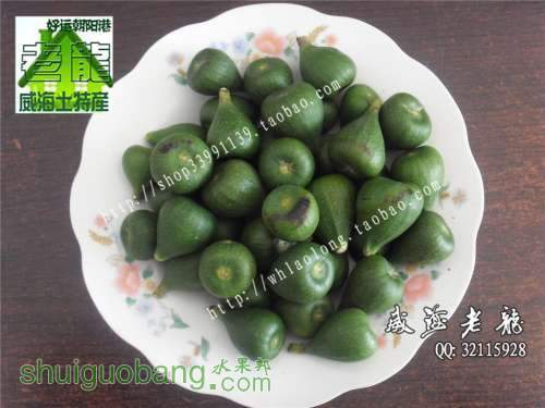 SDC15432_����.jpg