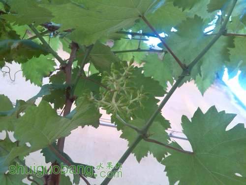 IMG_20140520_073122.jpg