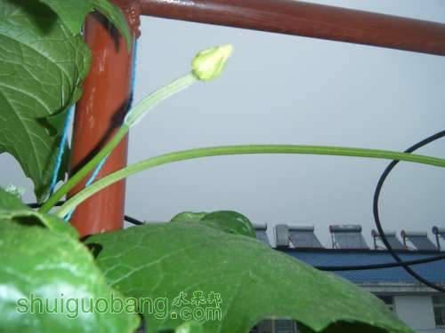 DSCF2375.JPG