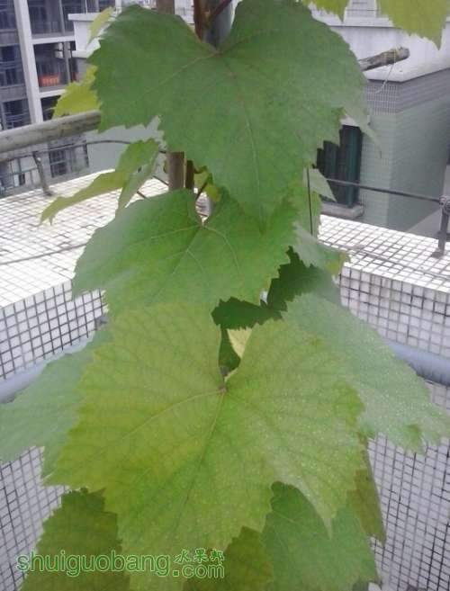 QQͼƬ20140521101901.jpg