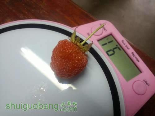ɵнϴһ